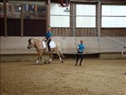 voltitag 2009 _CD2 124